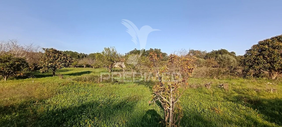 Terreno para Venda em Quinta do Anjo Foto 20