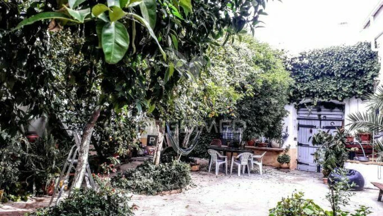 Moradia T9 para Venda em Ferreira do Alentejo e Canhestros Foto 7