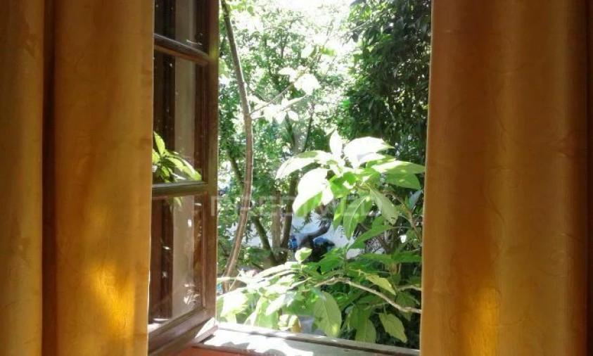 Moradia T9 para Venda em Ferreira do Alentejo e Canhestros Foto 4