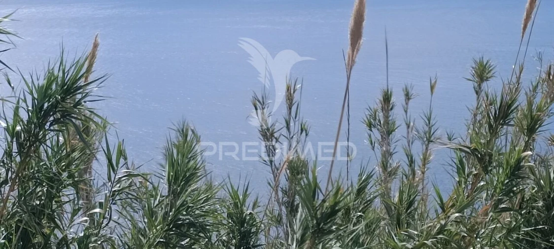 Moradia T3 para Venda em Arco da Calheta Foto 26