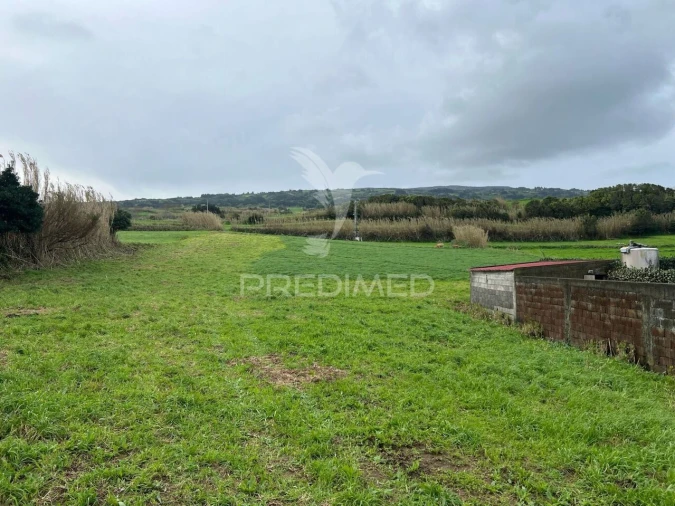 Terreno para Venda em Cedros Foto 2