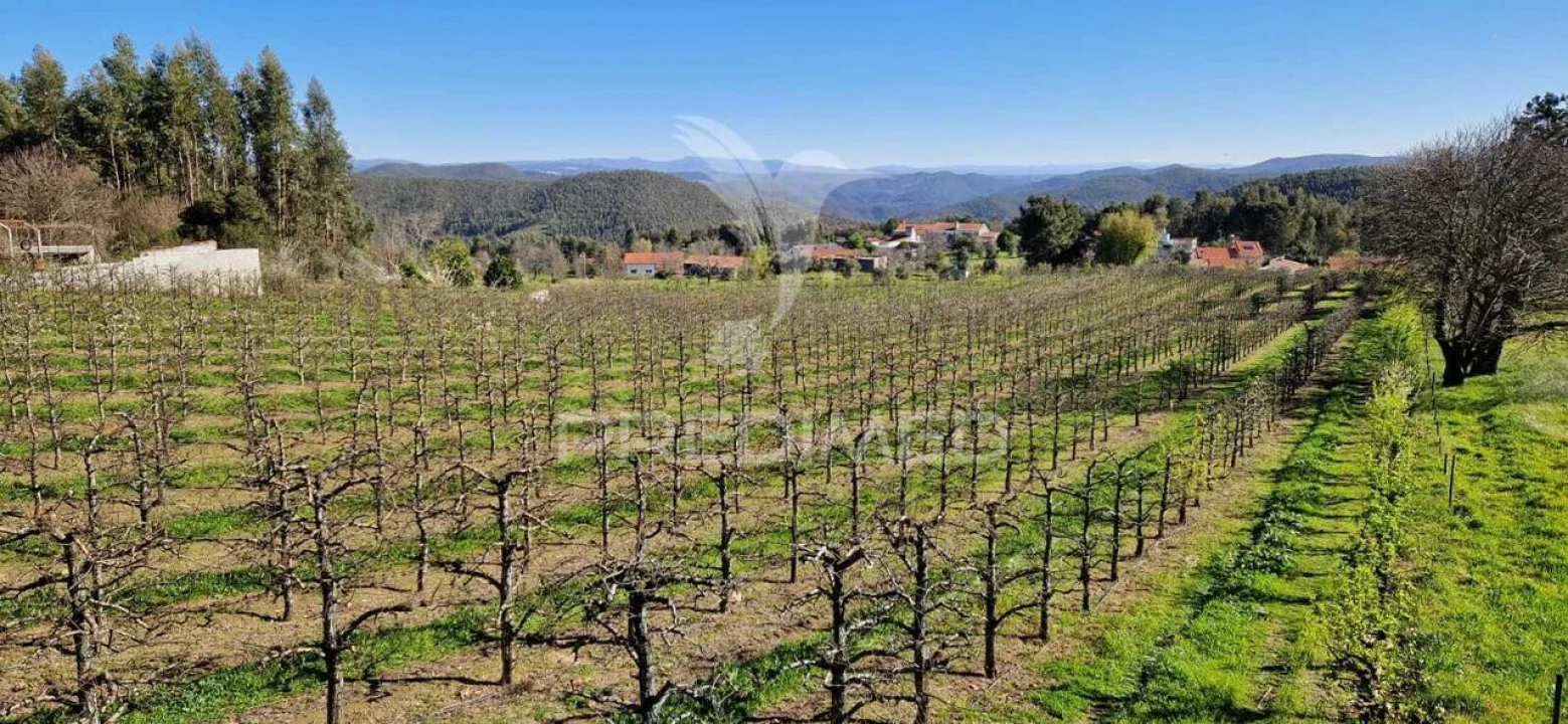 Terreno para Venda em Beco Foto 4