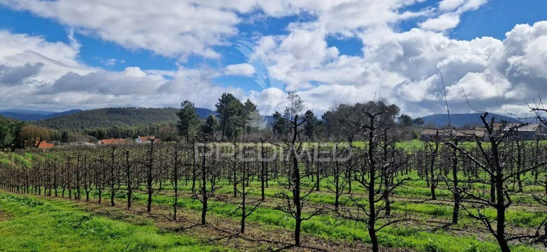 Terreno para Venda em Beco Foto 2