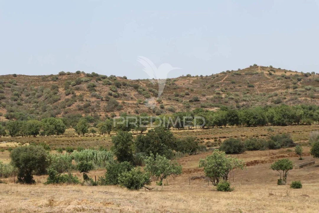 Quinta T9 para Venda em Castro Marim Foto 32