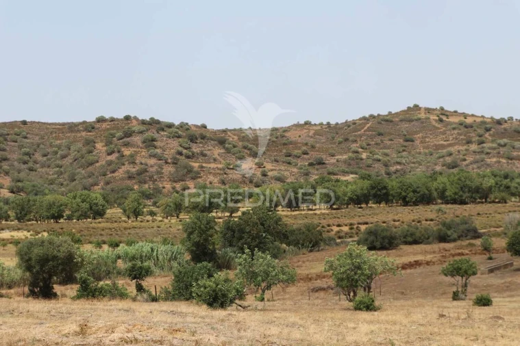 Quinta T9 para Venda em Castro Marim Foto 32