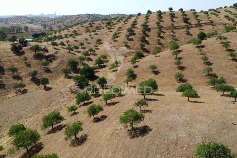 Quinta T9 para Venda em Castro Marim Foto 17