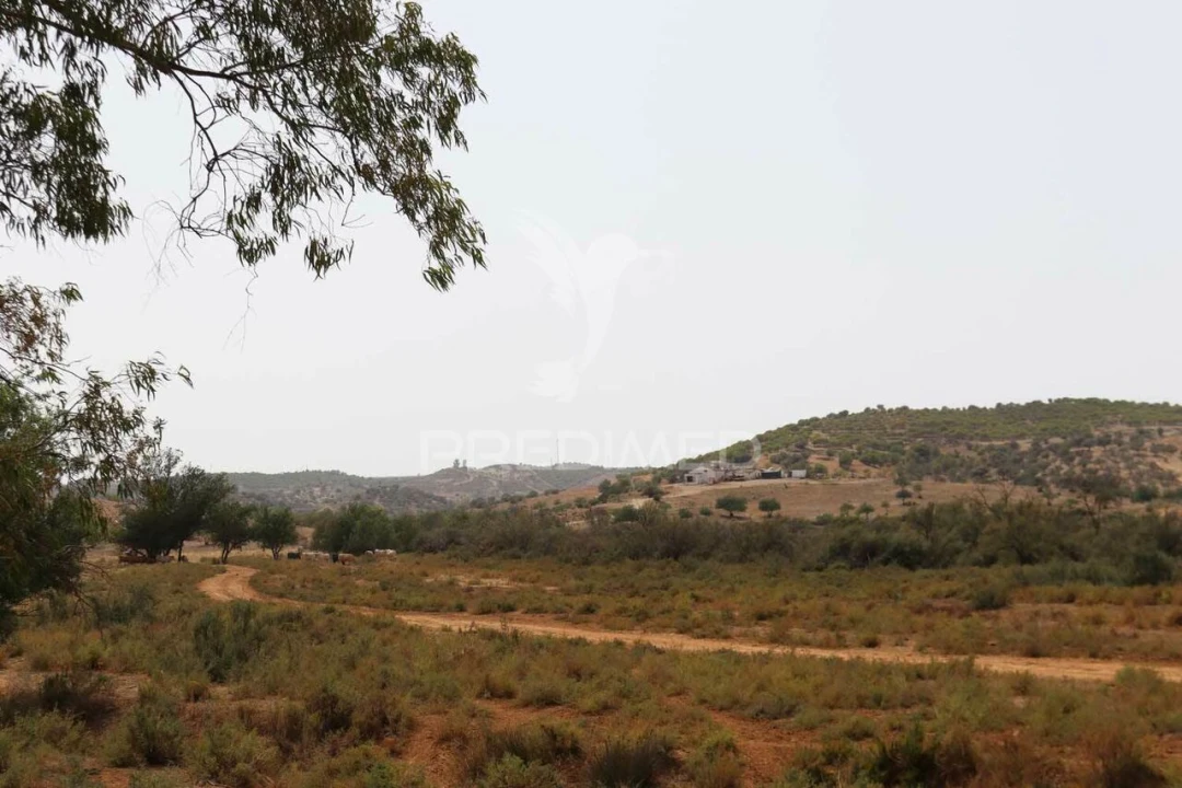Quinta T9 para Venda em Castro Marim Foto 20