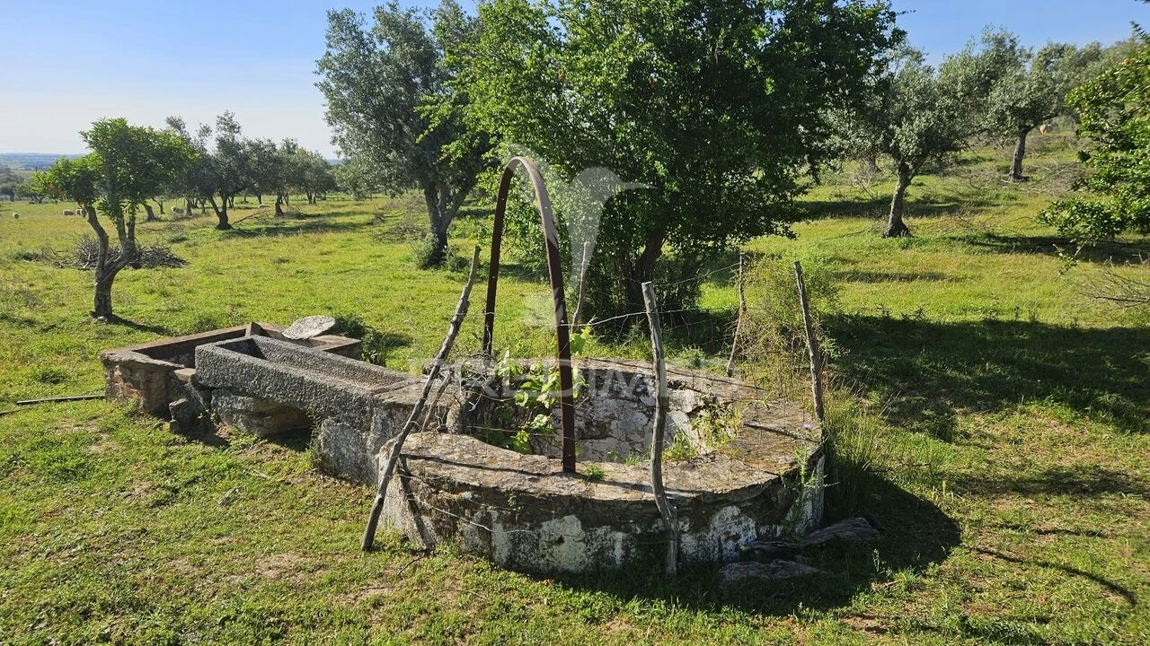 Quinta T4 para Venda em Pavia Foto 8