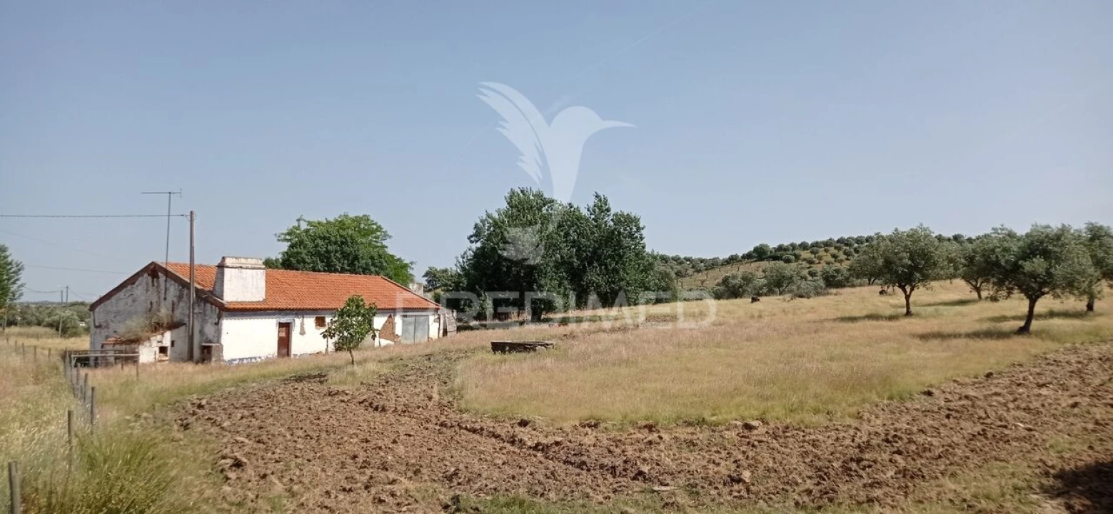 Quinta T4 para Venda em Pavia Foto 1