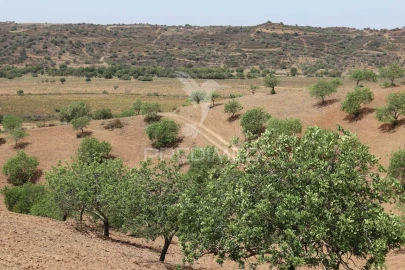 Terreno para Venda em Castro Marim