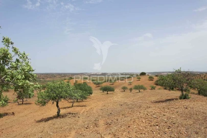 Terreno para Venda em Castro Marim