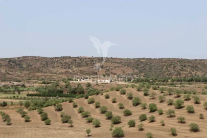 Terreno para Venda em Castro Marim