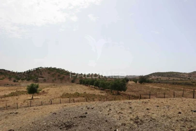 Terreno para Venda em Castro Marim