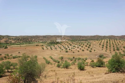 Terreno para Venda em Castro Marim