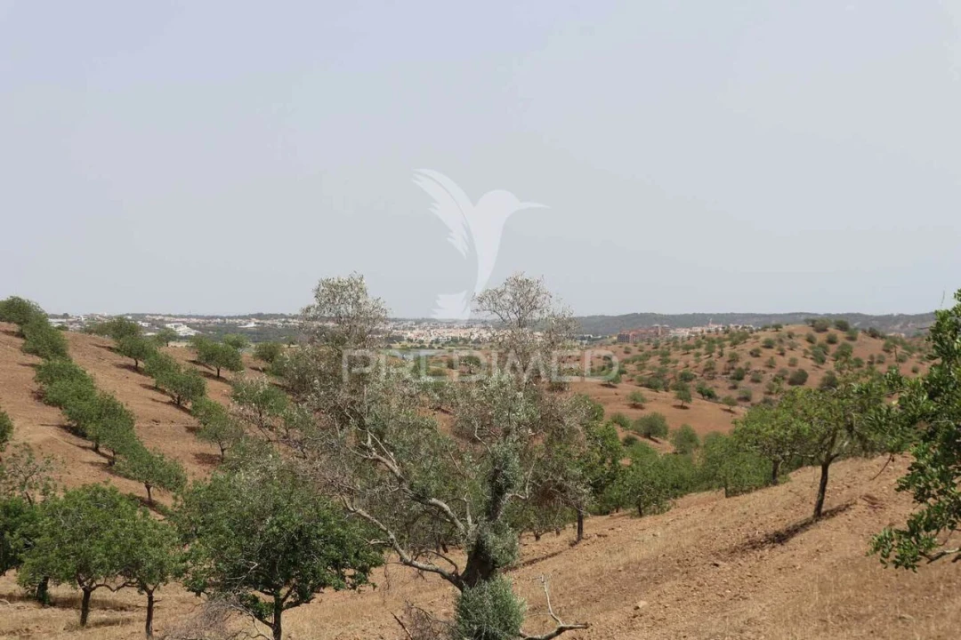 Terreno para Venda em Castro Marim Foto 35