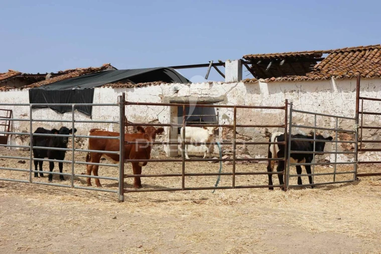 Terreno para Venda em Castro Marim Foto 21