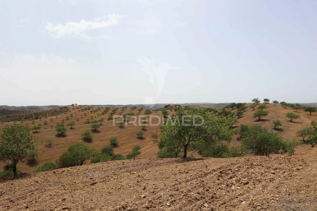 Terreno para Venda em Castro Marim Foto 31