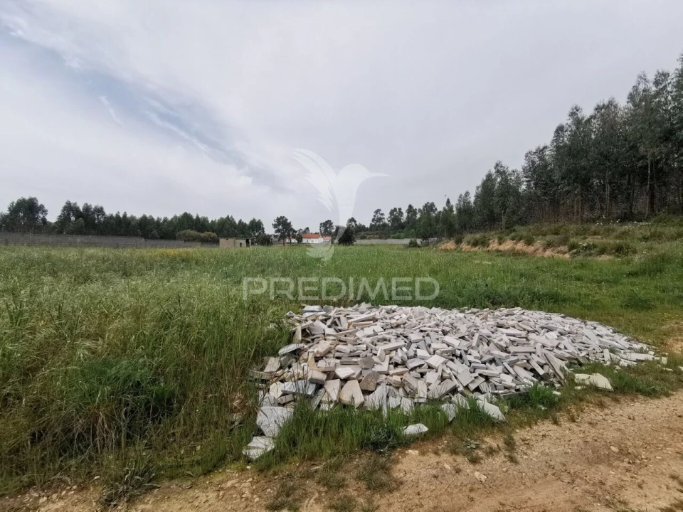 Terreno para Venda em Vila Nova da Barquinha Foto 21
