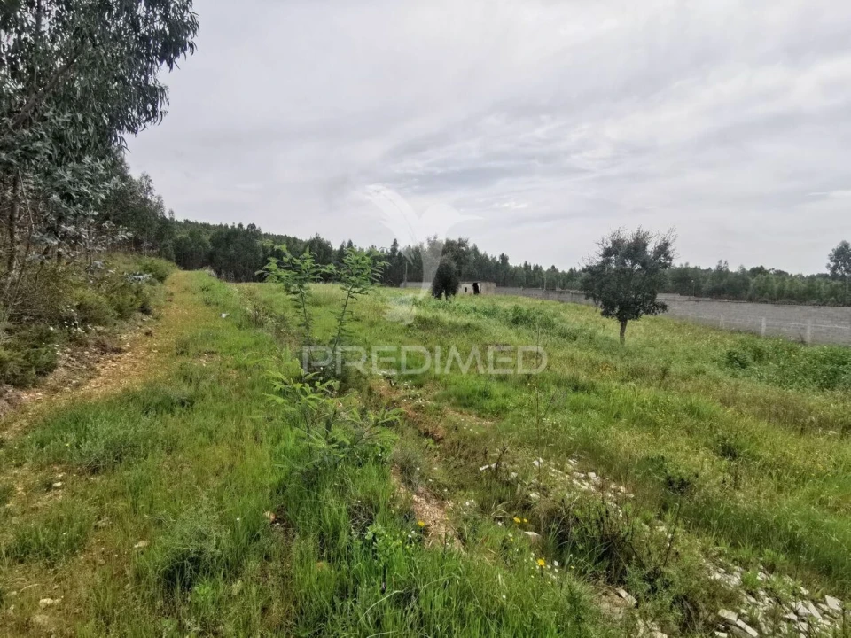 Terreno para Venda em Vila Nova da Barquinha Foto 18