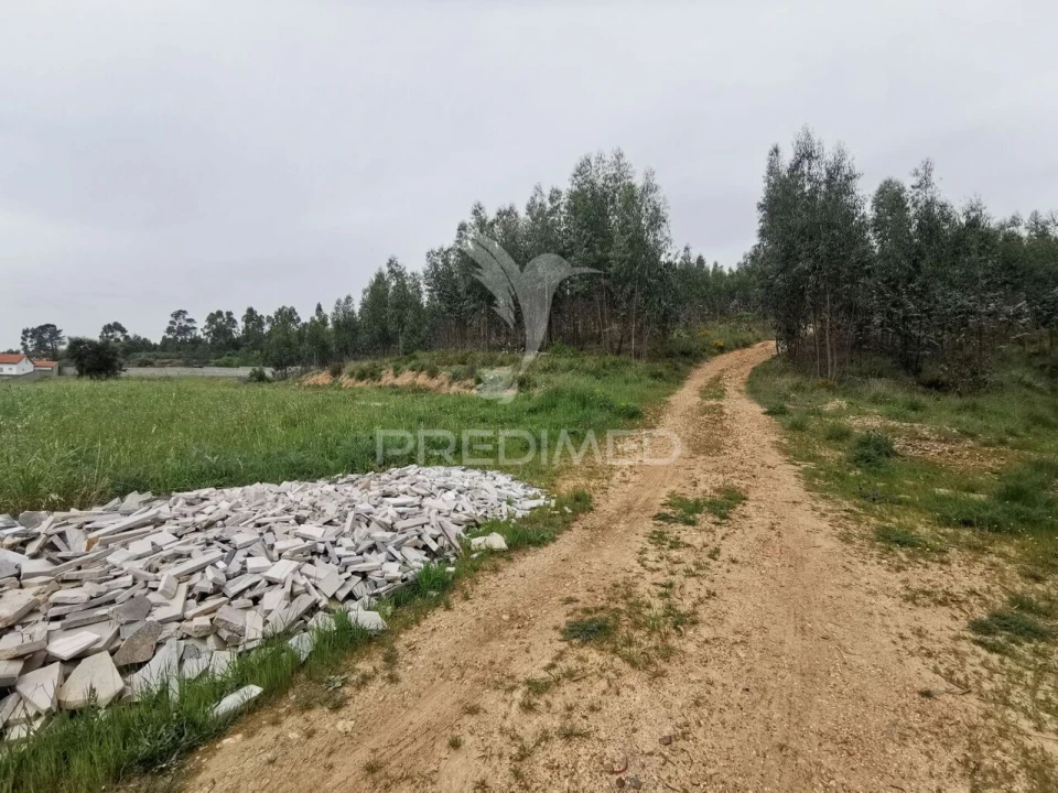 Terreno para Venda em Vila Nova da Barquinha Foto 22