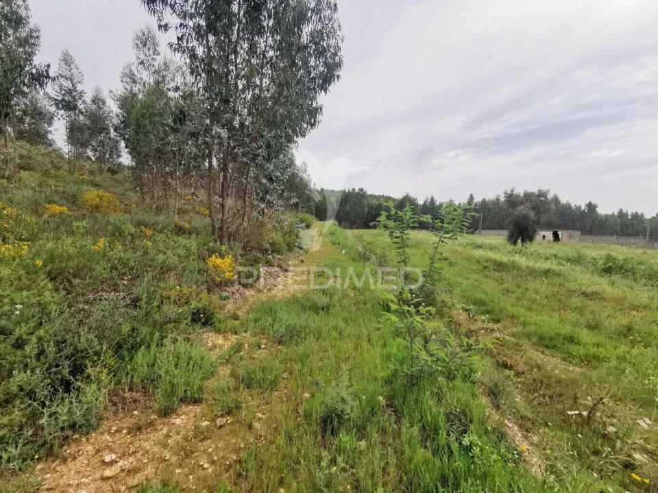 Terreno para Venda em Vila Nova da Barquinha Foto 17