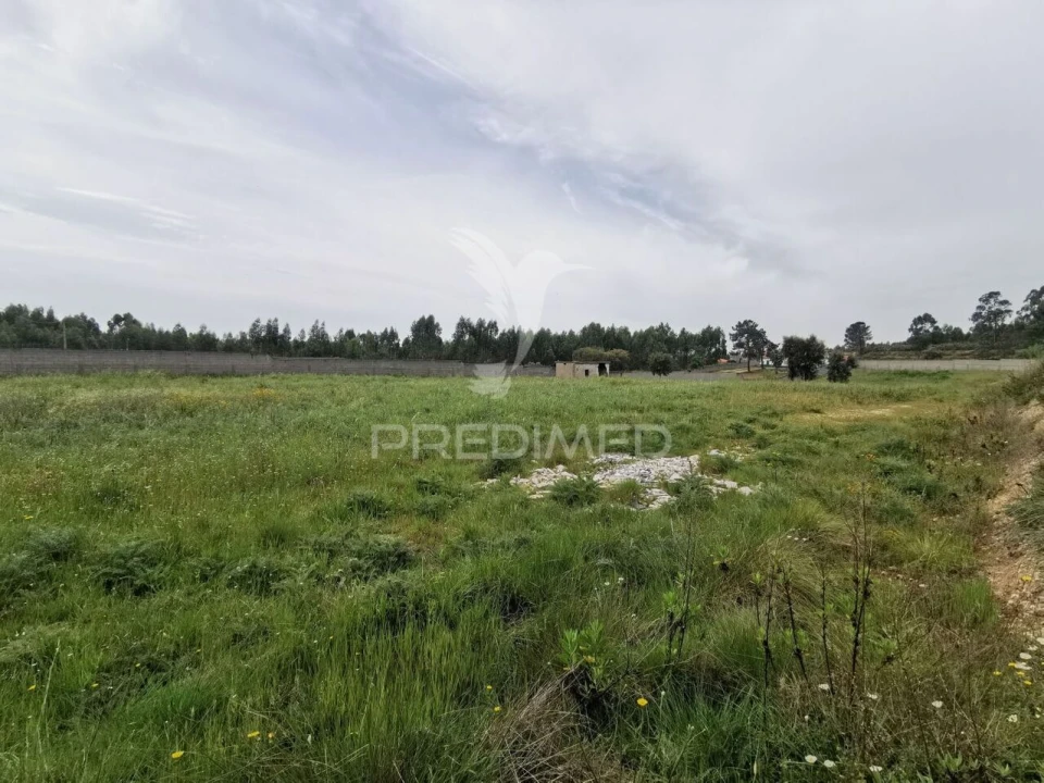 Terreno para Venda em Vila Nova da Barquinha Foto 26