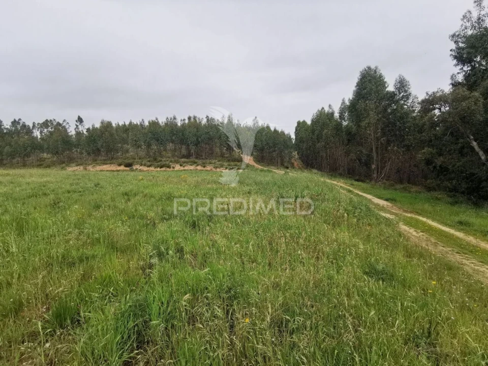 Terreno para Venda em Vila Nova da Barquinha Foto 35
