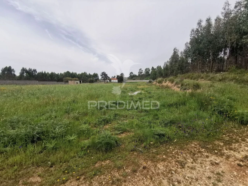 Terreno para Venda em Vila Nova da Barquinha Foto 24