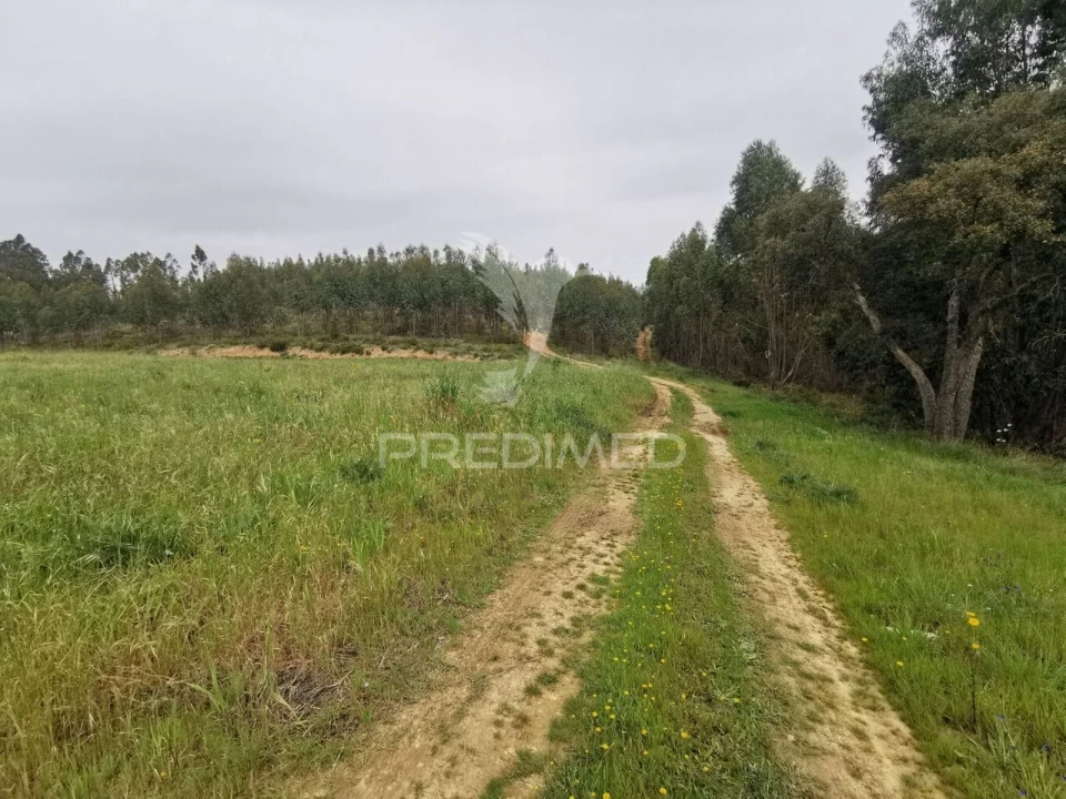 Terreno para Venda em Vila Nova da Barquinha Foto 36