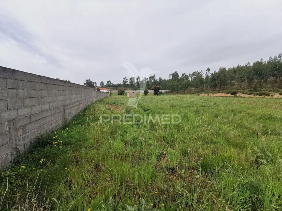 Terreno para Venda em Vila Nova da Barquinha Foto 31