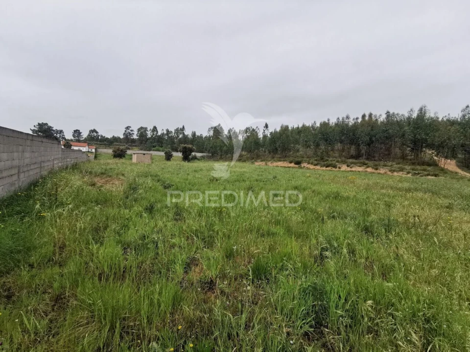 Terreno para Venda em Vila Nova da Barquinha Foto 33