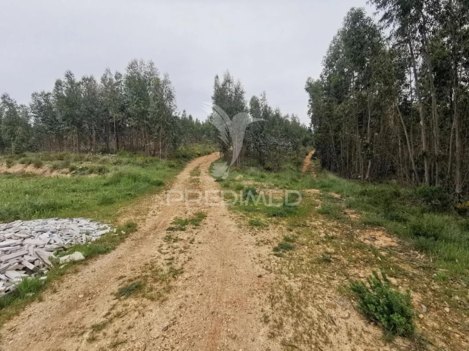 Terreno para Venda em Vila Nova da Barquinha Foto 23