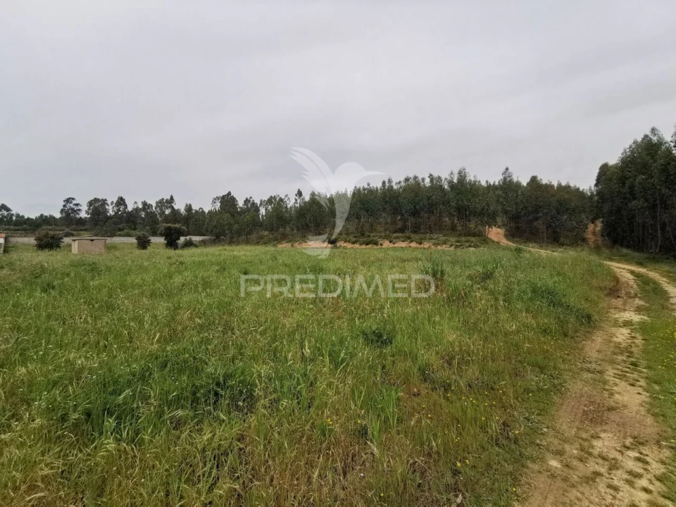 Terreno para Venda em Vila Nova da Barquinha Foto 32