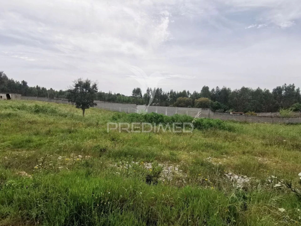 Terreno para Venda em Vila Nova da Barquinha Foto 13