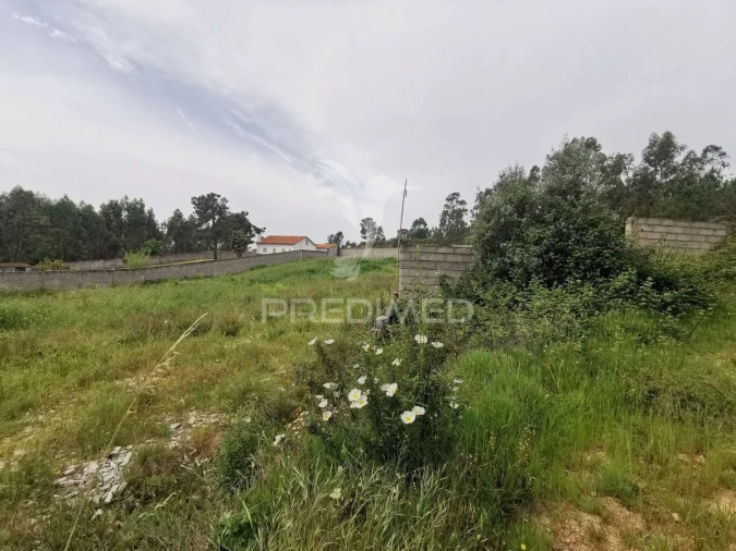 Terreno para Venda em Vila Nova da Barquinha Foto 15