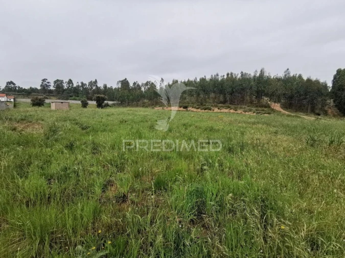 Terreno para Venda em Vila Nova da Barquinha Foto 34