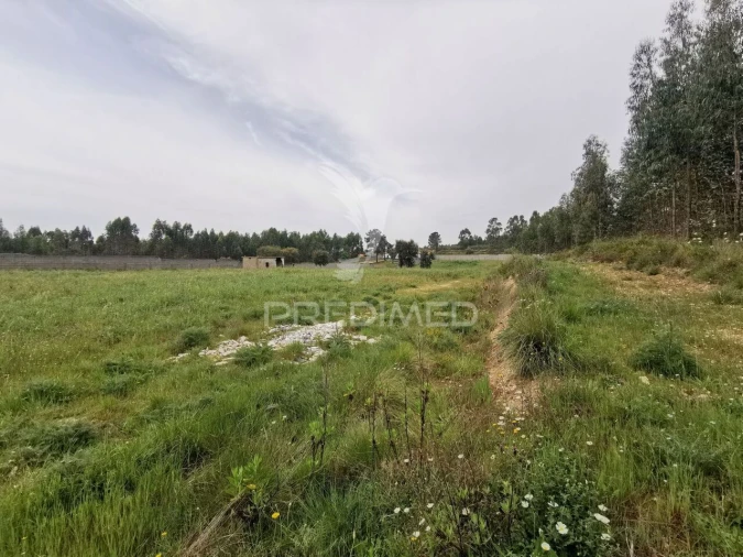 Terreno para Venda em Vila Nova da Barquinha Foto 27