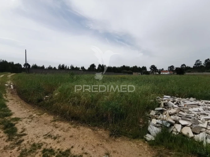 Terreno para Venda em Vila Nova da Barquinha Foto 20