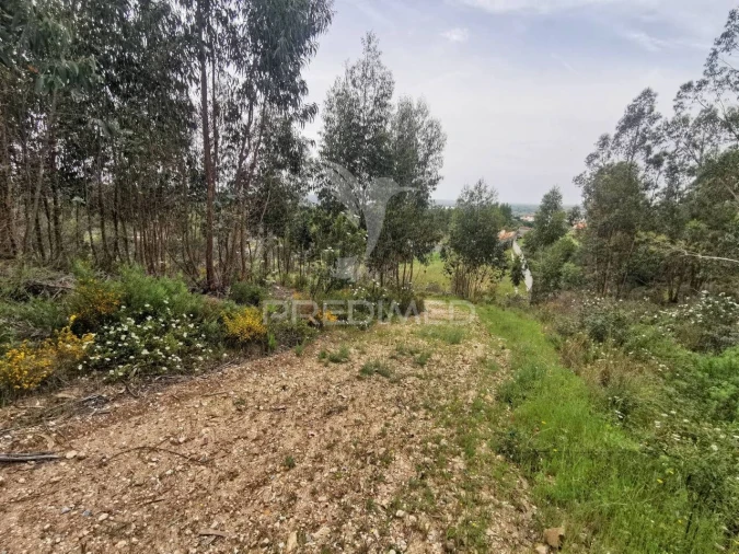 Terreno para Venda em Vila Nova da Barquinha Foto 4