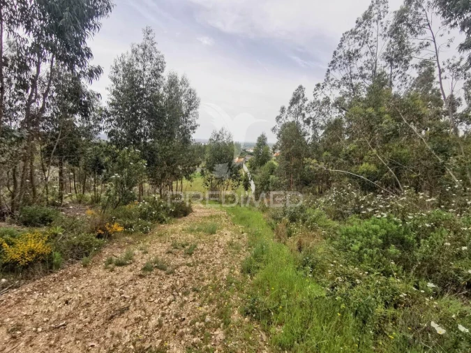 Terreno para Venda em Vila Nova da Barquinha Foto 6