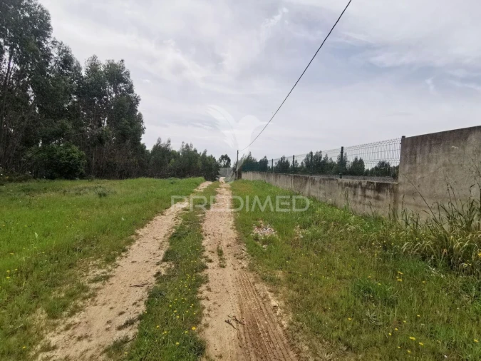 Terreno para Venda em Vila Nova da Barquinha Foto 37