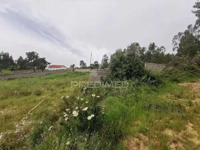 Terreno para Venda em Vila Nova da Barquinha Foto 16
