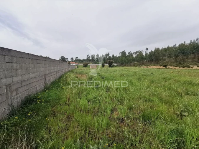 Terreno para Venda em Vila Nova da Barquinha Foto 31