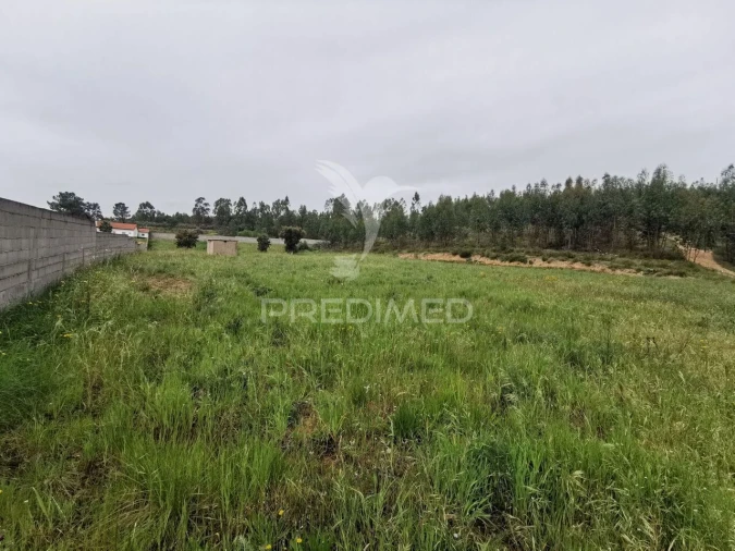 Terreno para Venda em Vila Nova da Barquinha Foto 33