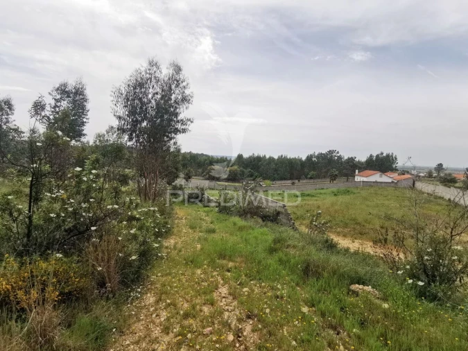 Terreno para Venda em Vila Nova da Barquinha Foto 7
