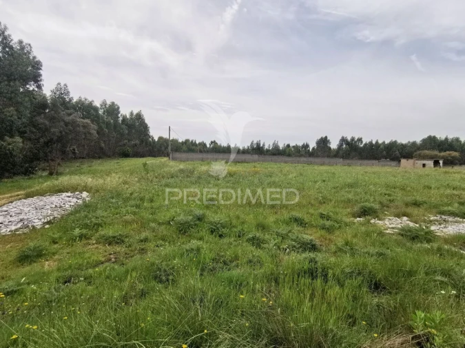 Terreno para Venda em Vila Nova da Barquinha Foto 25