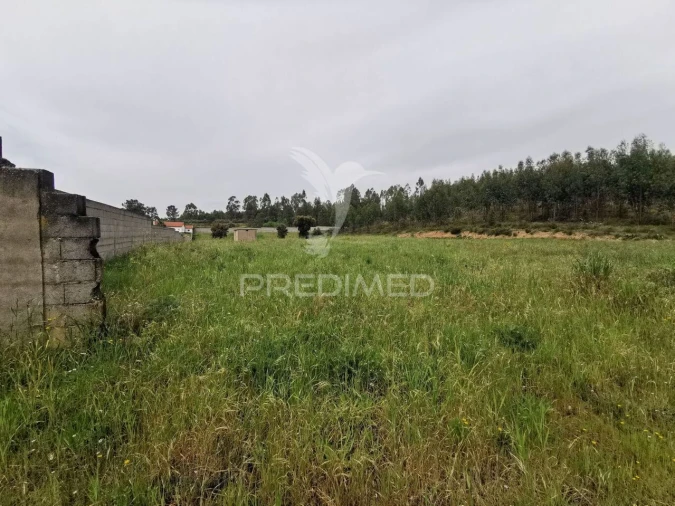 Terreno para Venda em Vila Nova da Barquinha Foto 30