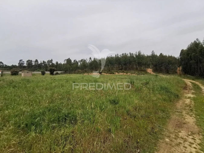 Terreno para Venda em Vila Nova da Barquinha Foto 32