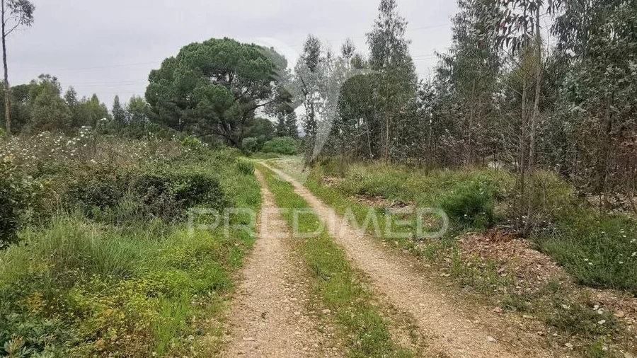 Terreno para Venda em Vila Nova da Barquinha