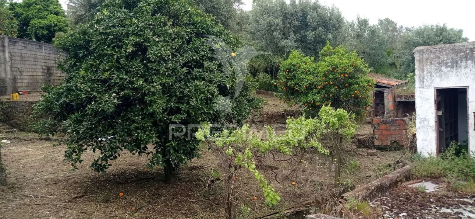 Moradia T3 para Venda em Montargil Foto 19